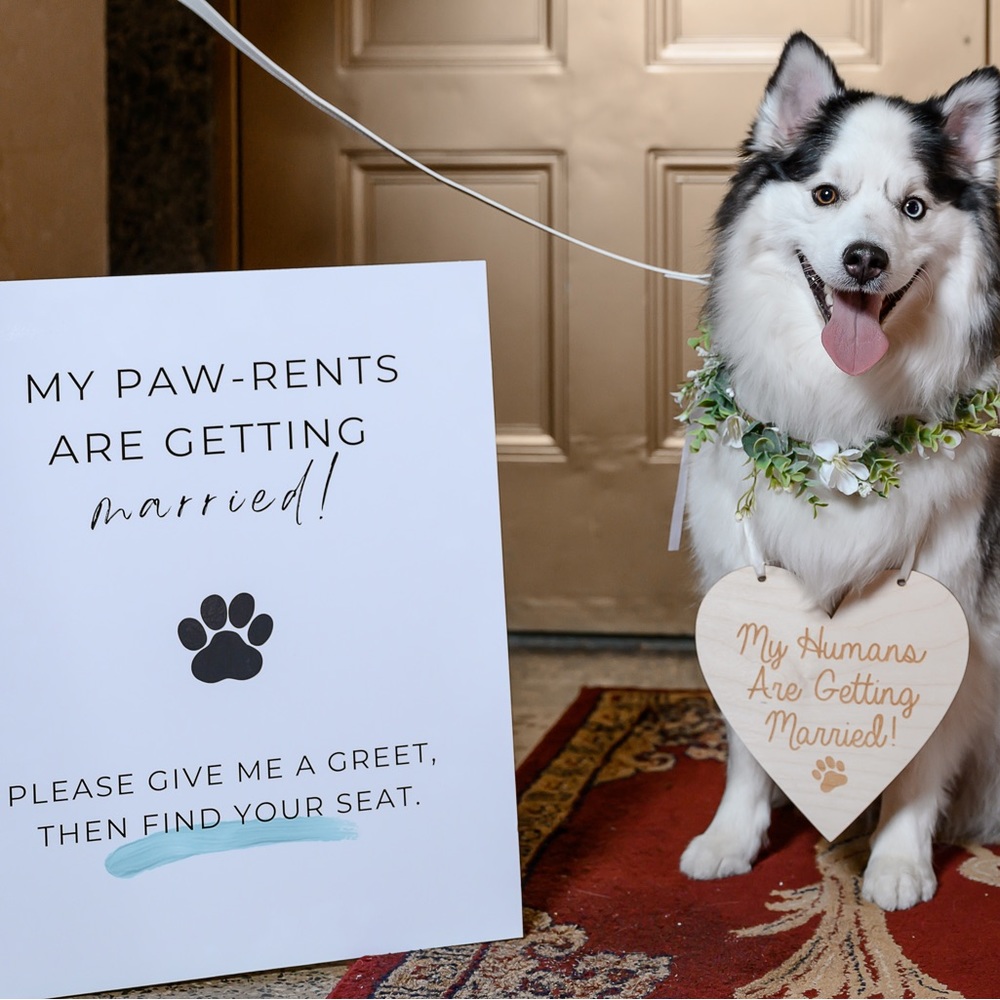 Dog wedding sign and accessories!